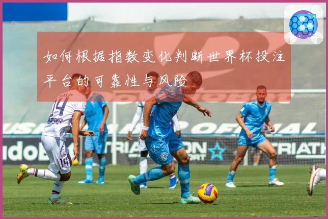 如何根据指数变化判断世界杯投注平台的可靠性与风险