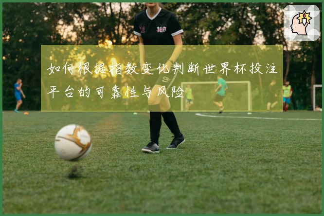 如何根据指数变化判断世界杯投注平台的可靠性与风险